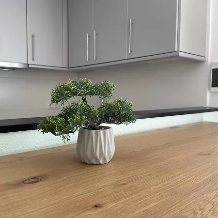 公寓 Solarium Con Terraza A 5 Minutos De La Playa *